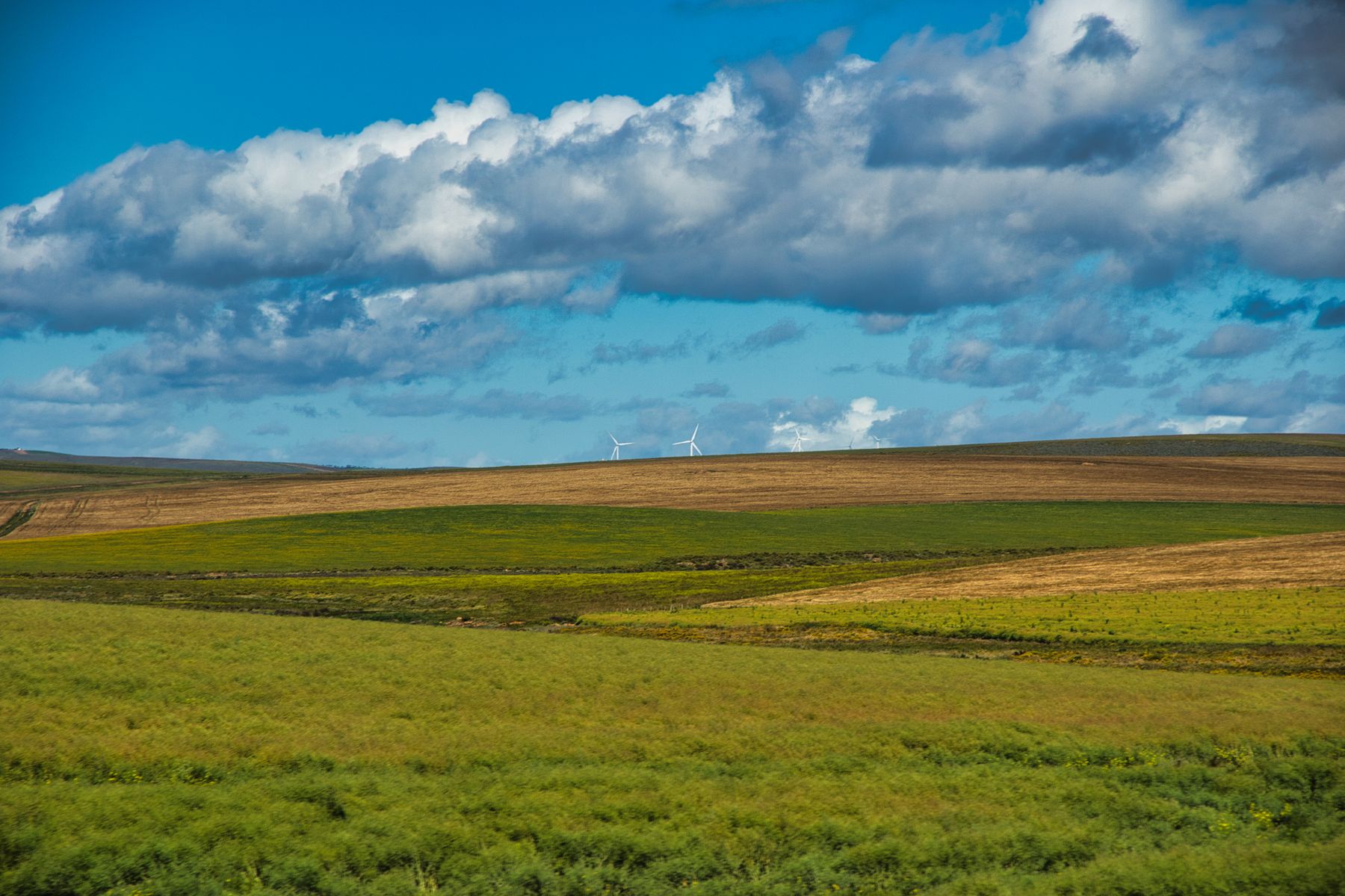 Éoliennes dans les paysages du Cap-Occidental